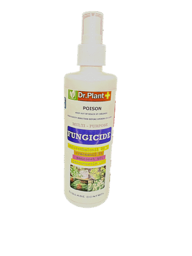 Fungicide